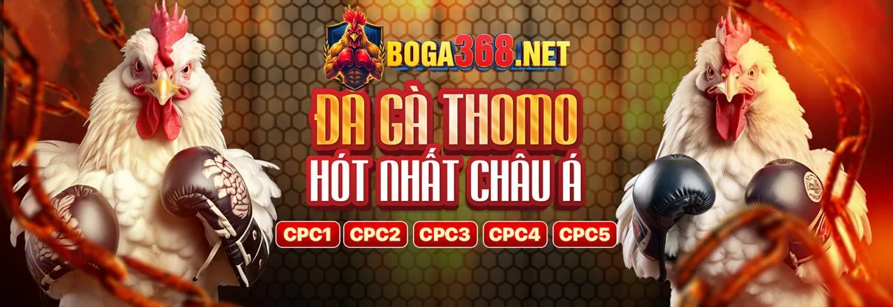Hệ sinh thái giải trí đa dạng của AWIN68 Đá Gà